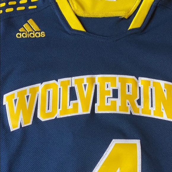 Michigan Wolverines Basketball Jersey - Picture 3 of 4